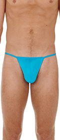 HOM String Plume