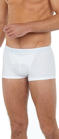 Boxer H01