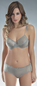 Panty Allover Lace