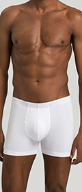 Hanro Shortleg Pants Cotton Superior