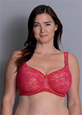 Rosa Faia Big Cup BH Abby