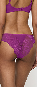 Triumph Brazilian Wild Peony Florale