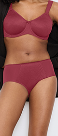 Triumph Hipster Essential Minimizer