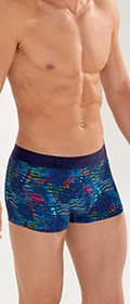HOM Trunk Dreamland