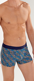 HOM Boxer Brief Buddy