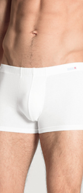 Calida New Boxer Evolution