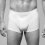 Boxer Shorty Sir George
