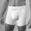 Boxer Slip Sir George