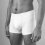 Boxer Short Sir John