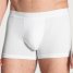 Calida New Boxer Focus