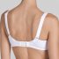 Triumph (1NY92) BH Delicate Doreen