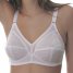 Sassa Soft-BH Shiny Jacquard