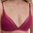 Calida Triangle-BH Cate