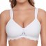 Susa Schalen BH ohne Bügel Latina