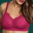 Anita Spezial BH Orely 