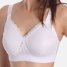 Sassa Soft BH Minimizer Basic Control