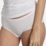 Sassa Panty Stripe Range