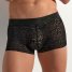 HOM Trunk Free Cut Lace