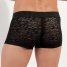 HOM Trunk Free Cut Lace