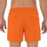 HOM Boxer Sea Life Beach