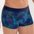 HOM Trunk Dreamland