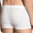 Calida New Boxer Evolution