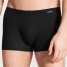 Calida New Boxer Evolution