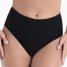 Anita High Waist Bikini Hose Essential